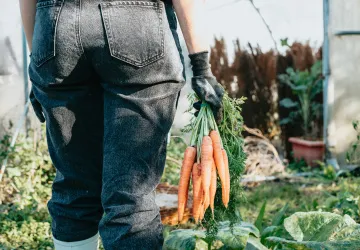 Lokální produkce některých potravin má výrazně nižší uhlíkovou stopu než při jejich dovozu, ukazuje analýza zemědělců
