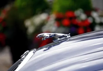 Jaguar - auto