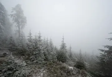 Teploty klesnou až na -2 °C a v 6 krajích bude sněžit Teploty klesnou až na -2 °C a v 6 krajích bude sněžit