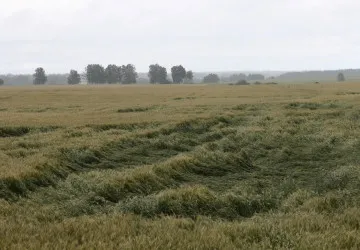 Zejména západní Čechy čeká velmi větrná sobota