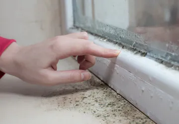 Vlhký vzduch v domácnosti může být velkým problémem Vlhký vzduch v domácnosti může být velkým problémem