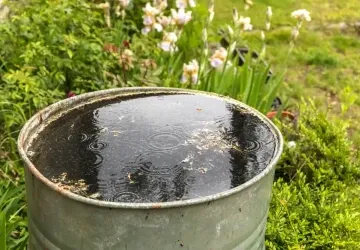 I čirá voda v sudu může skrývat prach a nečistoty smyté z okapu I čirá voda v sudu může skrývat prach a nečistoty smyté z okapu