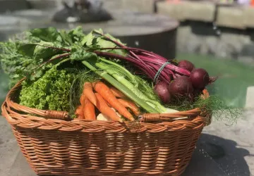 Zbytky zeleniny rozhodně nevyhazujte.