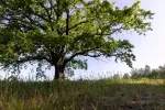 Konec prázdnin by měl být z meteorologického hlediska poměrně turbulentní. 