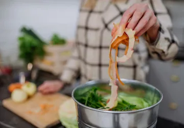 Odpad z restaurací často končí ve spalovnách a na skládkách, vědci hledají alternativu