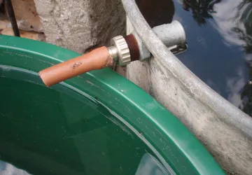 Dešťovou vodu můžete zadržovat v sudech a pak použít pro zalévání zahrady