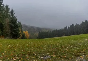 Na konci října se může výrazně ochladit. Na konci října se může výrazně ochladit.