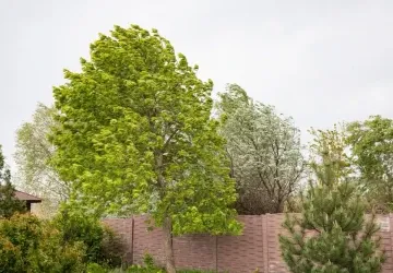 Silnější vítr se ve středu nevyhne ani severu Čech a Českomoravské vrchovině