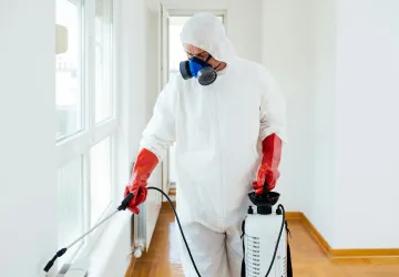 Invazivní termiti se kvůli změně klimatu brzy objeví v nových oblastech