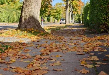 V důsledku neodklizeného listí na ulici může dojít k nepříjemnému úrazu.