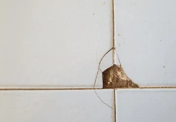 Na první pohled nenápadná prasklina, která může skrývat víc než jen poškozenou spáru.