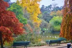 Přelom září a října přinese do Česka slunečné dny s příjemnými teplotami přesahujícími 20 °C. Přelom září a října přinese do Česka slunečné dny s příjemnými teplotami přesahujícími 20 °C.