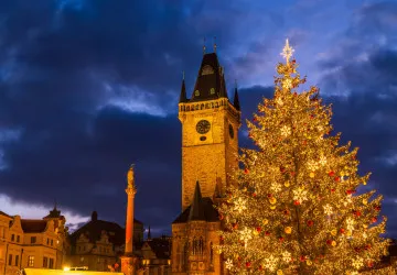 Praha již měla 47 tipů na vánoční strom, ale nesplňovaly podmínky.