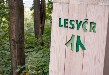 Využijte nabídku Lesů ČR a pořiďte si dřevo do kamen za 30 Kč/m3