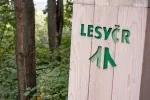 Využijte nabídku Lesů ČR a pořiďte si dřevo do kamen za 30 Kč/m3
