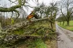 Meteorologové vydali výstrahu hned pro čtyři kraje Meteorologové vydali výstrahu hned pro čtyři kraje