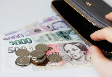 Veřejné finance tvoří páteř hospodaření státu 