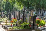 Službu, která dokáže najít hrob podle jména a příjmení zesnulého měsíčně využívá tisíce lidí