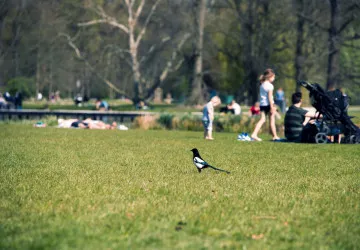 Meteorologové už tuší, kdy do Česka vpadnou první tropická vedra