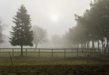 Druhá polovina října přinese nízké teploty. Druhá polovina října přinese nízké teploty.