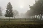Druhá polovina října přinese nízké teploty. Druhá polovina října přinese nízké teploty.