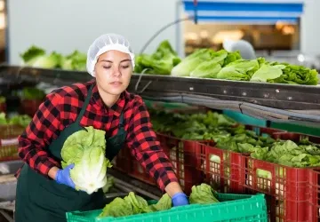Mladí často nevydrží v práci ani dva měsíce Mladí často nevydrží v práci ani dva měsíce