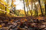 Uprostřed září se do Česka na několik dnů vrátí letní teploty přesahující 25 °C. Uprostřed září se do Česka na několik dnů vrátí letní teploty přesahující 25 °C.