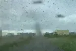 Invazivní druh komára se rozšiřuje na evropská území.
