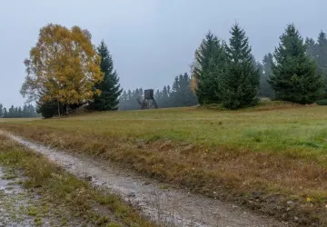 Babí léto se už brzy definitivně rozloučí.
