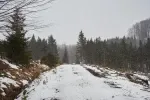 V pátek má v Česku sněžit