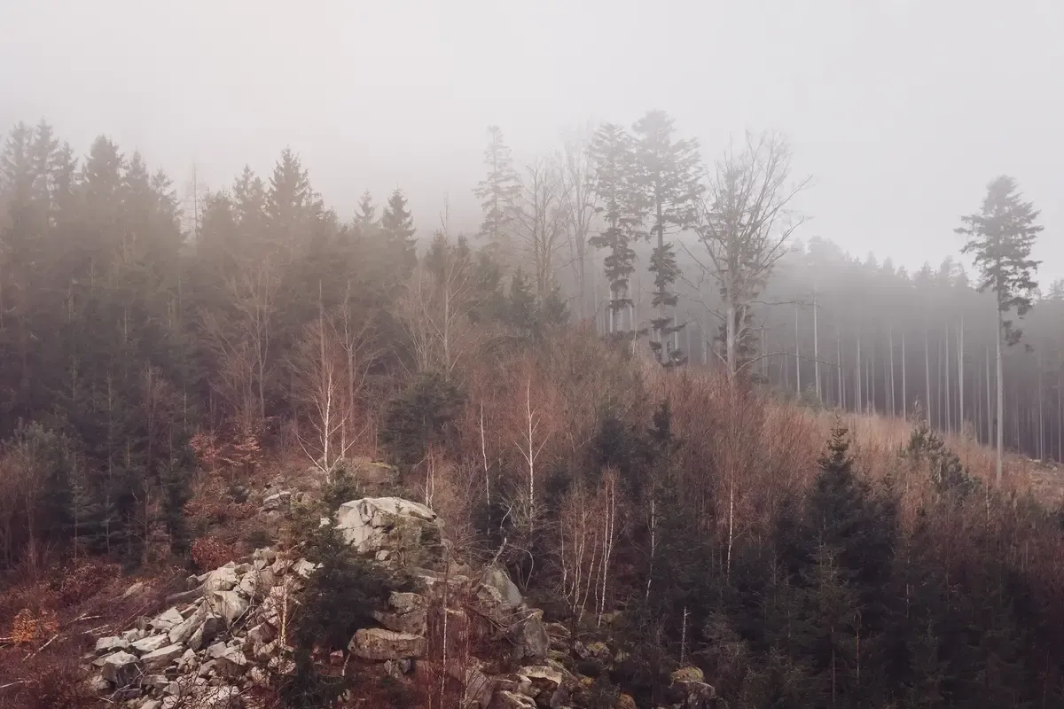 Meteorologové přišli s předpovědí, která Čechům udělá čáru přes rozpočet Meteorologové přišli s předpovědí, která Čechům udělá čáru přes rozpočet