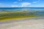 Místo azurové vody čeká turisty v oblíbené destinaci jen „zelená kaše"