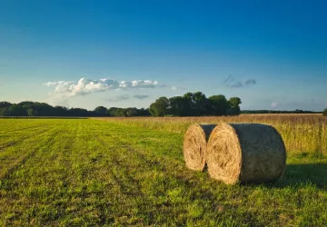 Jaké počasí bude panovat do konce prázdnin?