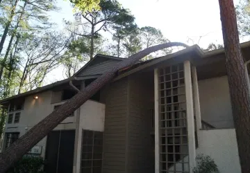 Kdo zaplatí škodu, když strom ze sousedního pozemku, zničí střechu?