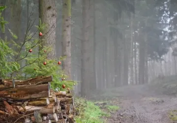 Meteorologové zveřejnili výhled na blížící se Vánoce