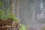 Meteorologové zveřejnili výhled na blížící se Vánoce