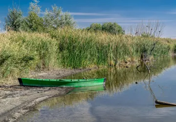 Sucho v řece