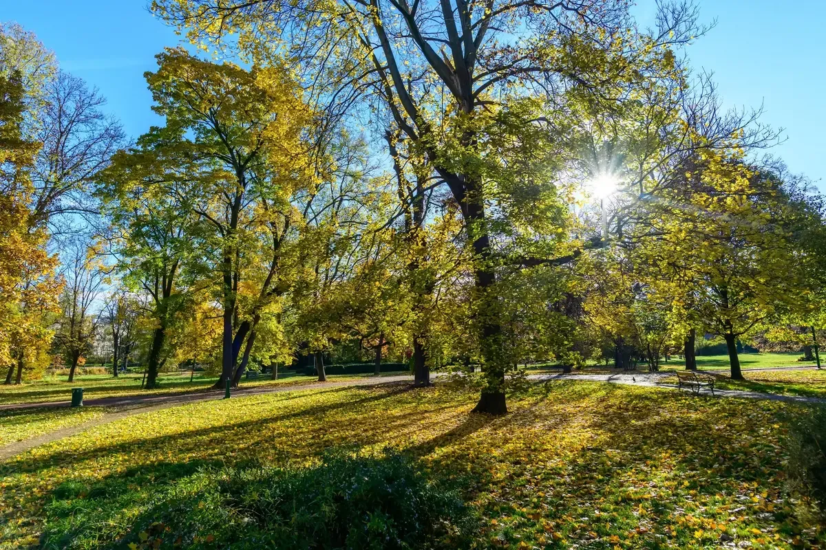 Meteorologové varují před nepříznivým vývojem před zimou Meteorologové varují před nepříznivým vývojem před zimou