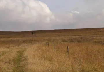 Po extrémně teplém a suchém létě vyhlížejí meteorologové i zahrádkáři zářijový zlom v počasí. Po extrémně teplém a suchém létě vyhlížejí meteorologové i zahrádkáři zářijový zlom v počasí.