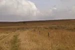 Po extrémně teplém a suchém létě vyhlížejí meteorologové i zahrádkáři zářijový zlom v počasí. Po extrémně teplém a suchém létě vyhlížejí meteorologové i zahrádkáři zářijový zlom v počasí.