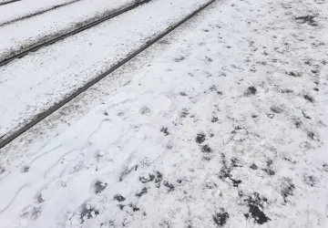 Během října se v ČR výrazně ochladí. 