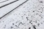 Během října se v ČR výrazně ochladí. 