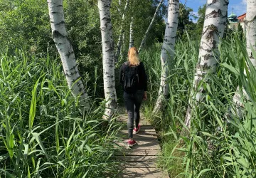 Stezka vedoucí mokřady v Jablonném v Podještědí