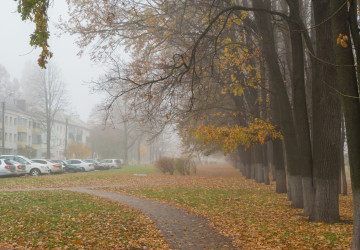 Do Česka míří víkendový nečas Do Česka míří víkendový nečas