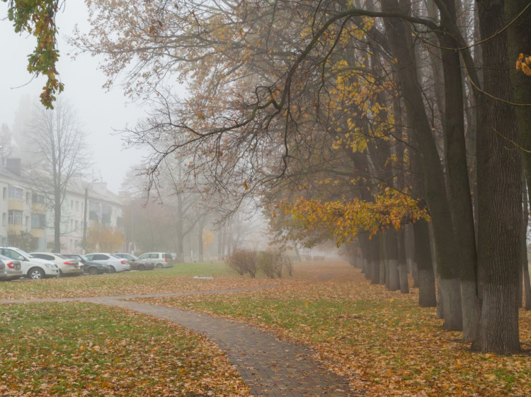 Do Česka míří víkendový nečas