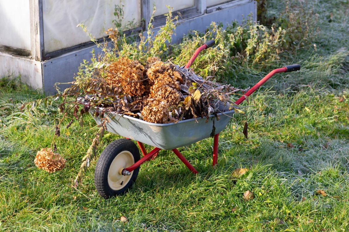 Nepořádek ze zahrady vám městský úřad zdarma odveze