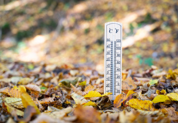 Čeká nás nejkrásnější týden podzimu Čeká nás nejkrásnější týden podzimu