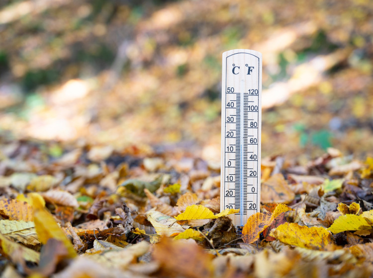 Čeká nás nejkrásnější týden podzimu Čeká nás nejkrásnější týden podzimu