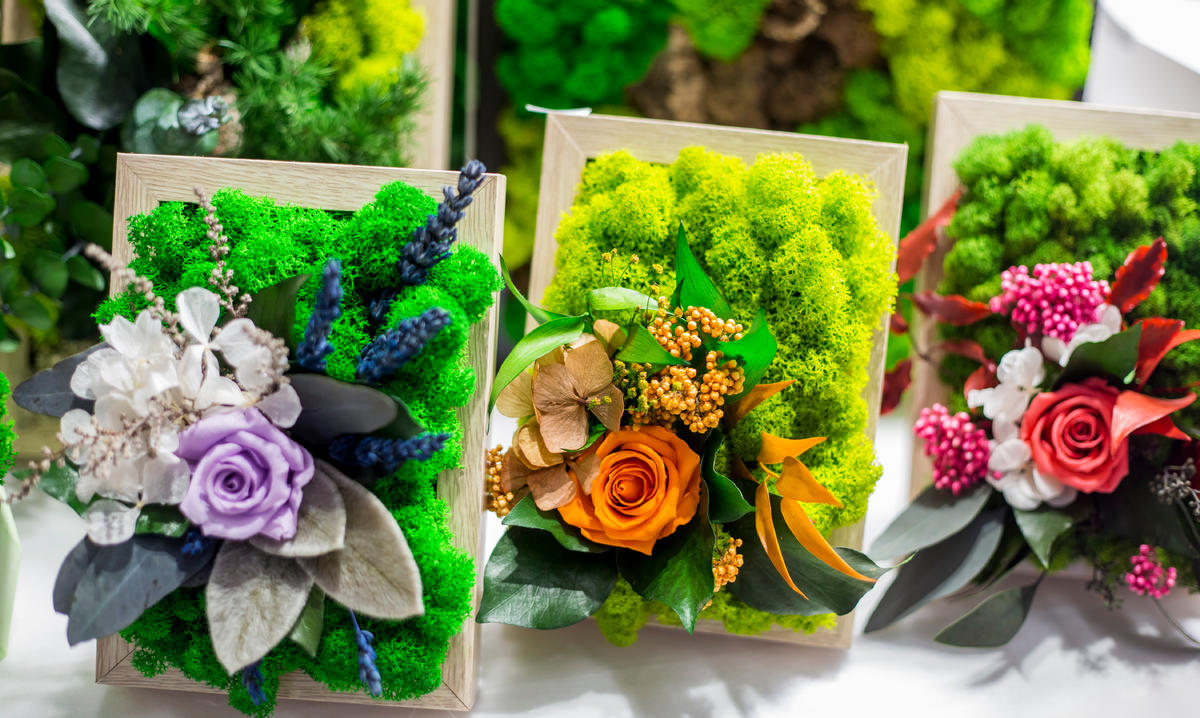 Tyhle okrasné rostliny jsou živé a přesto nepotřebují deset let ani kapku vody