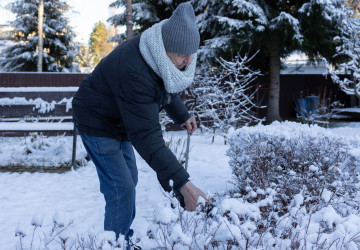 I v lednu je potřeba věnovat čas vaší zahradě